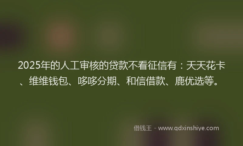 2025年的人工审核的贷款不看征信有：天天花卡、维维钱包、哆哆分期、和信借款、鹿优选等。