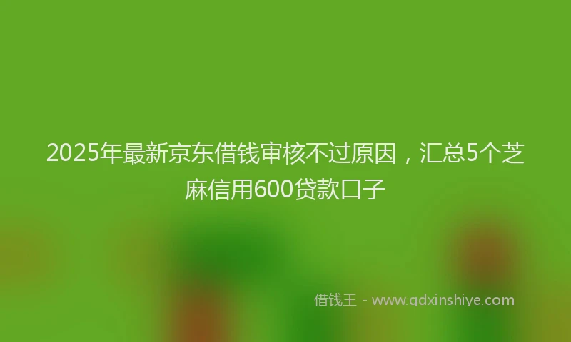 2025年最新京东借钱审核不过原因，汇总5个芝麻信用600贷款口子