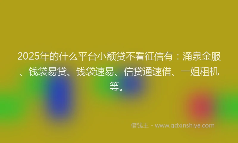 2025年的什么平台小额贷不看征信有：涌泉金服、钱袋易贷、钱袋速易、信贷通速借、一姐租机等。