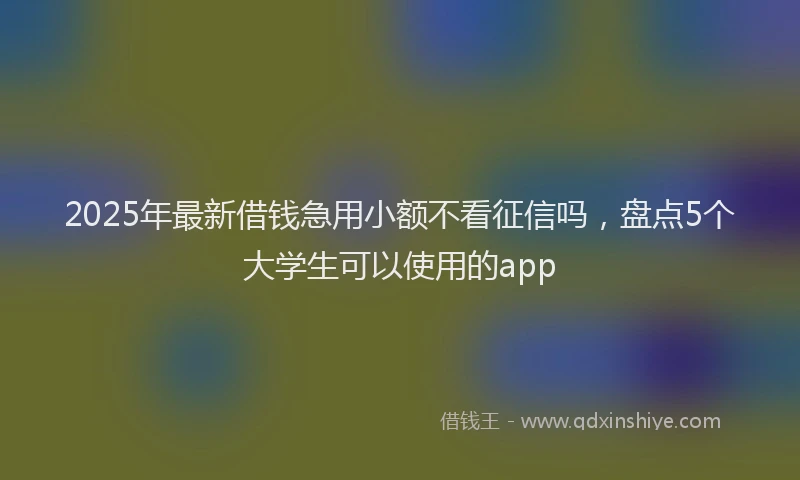 2025年最新借钱急用小额不看征信吗，盘点5个大学生可以使用的app