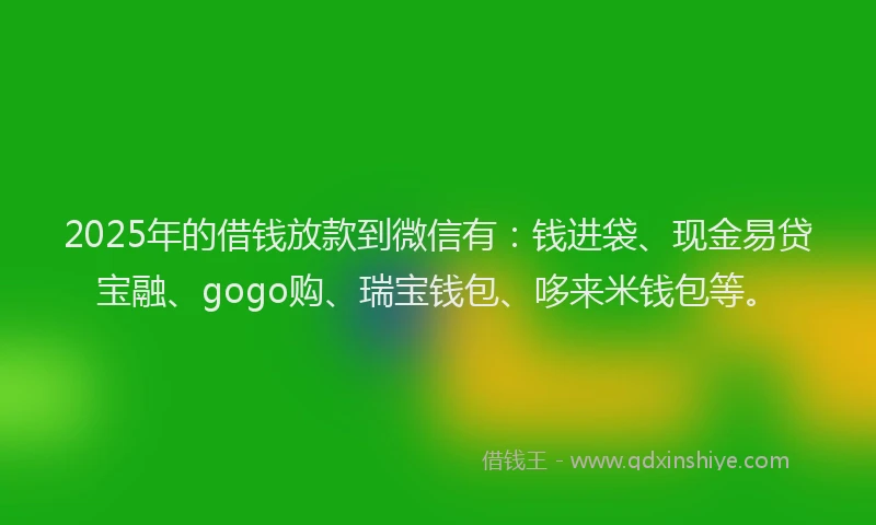 2025年的借钱放款到微信有：钱进袋、现金易贷宝融、gogo购、瑞宝钱包、哆来米钱包等。