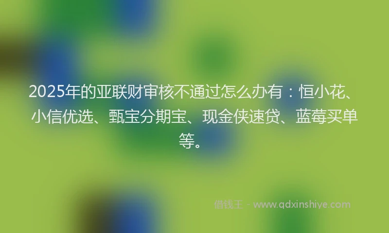2025年的亚联财审核不通过怎么办有：恒小花、小信优选、甄宝分期宝、现金侠速贷、蓝莓买单等。