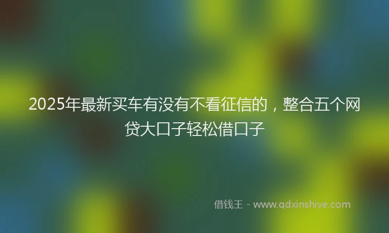2025年最新买车有没有不看征信的，整合五个网贷大口子轻松借口子
