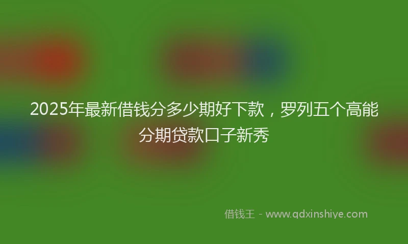 2025年最新借钱分多少期好下款，罗列五个高能分期贷款口子新秀
