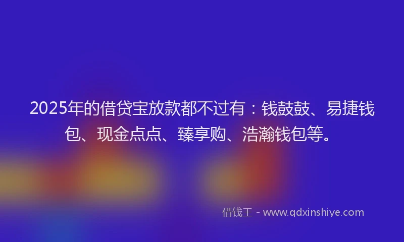 2025年的借贷宝放款都不过有：钱鼓鼓、易捷钱包、现金点点、臻享购、浩瀚钱包等。