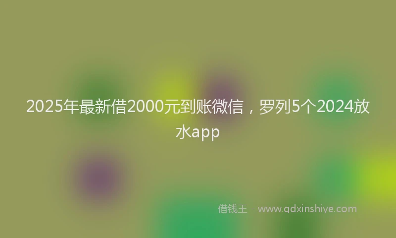 2025年最新借2000元到账微信，罗列5个2024放水app