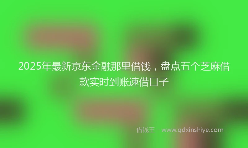 2025年最新京东金融那里借钱，盘点五个芝麻借款实时到账速借口子