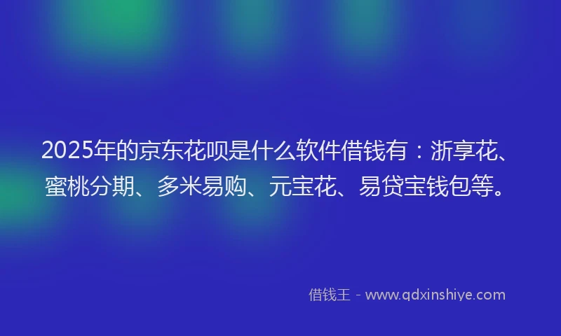 2025年的京东花呗是什么软件借钱有：浙享花、蜜桃分期、多米易购、元宝花、易贷宝钱包等。