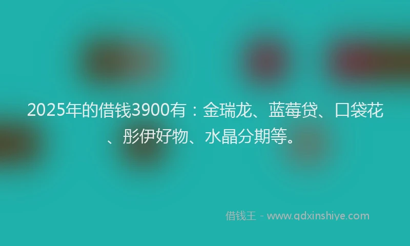 2025年的借钱3900有：金瑞龙、蓝莓贷、口袋花、彤伊好物、水晶分期等。