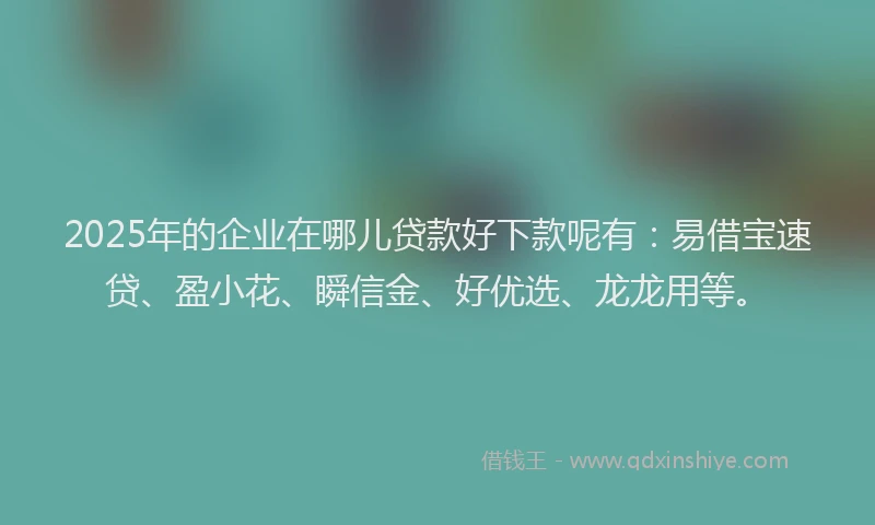 2025年的企业在哪儿贷款好下款呢有：易借宝速贷、盈小花、瞬信金、好优选、龙龙用等。