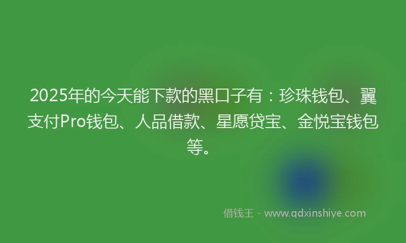 2025年的今天能下款的黑口子有：珍珠钱包、翼支付Pro钱包、人品借款、星愿贷宝、金悦宝钱包等。