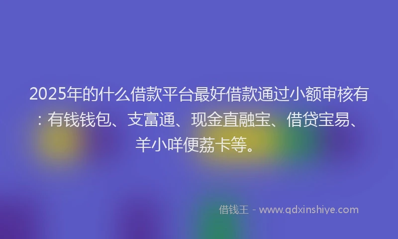 2025年的什么借款平台最好借款通过小额审核有：有钱钱包、支富通、现金直融宝、借贷宝易、羊小咩便荔卡等。