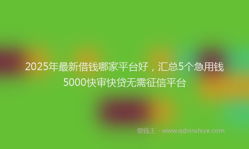 2025年最新借钱哪家平台好，汇总5个急用钱5000快审快贷无需征信平台