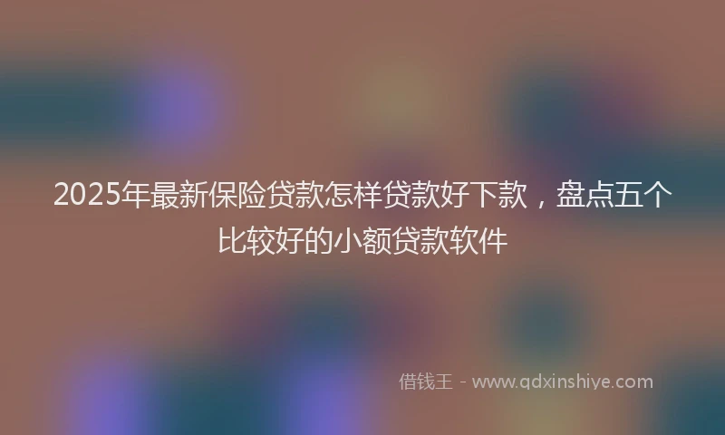 2025年最新保险贷款怎样贷款好下款，盘点五个比较好的小额贷款软件