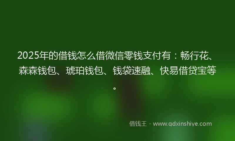 2025年的借钱怎么借微信零钱支付有：畅行花、森森钱包、琥珀钱包、钱袋速融、快易借贷宝等。