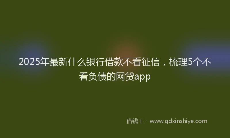 2025年最新什么银行借款不看征信，梳理5个不看负债的网贷app