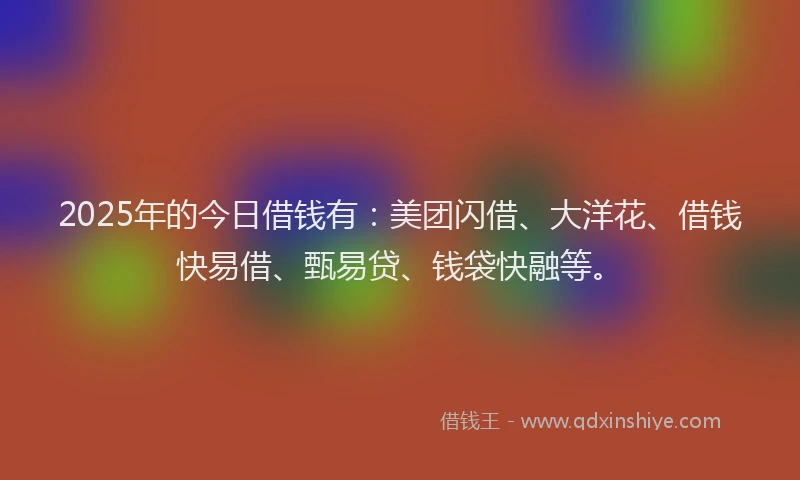 2025年的今日借钱有：美团闪借、大洋花、借钱快易借、甄易贷、钱袋快融等。