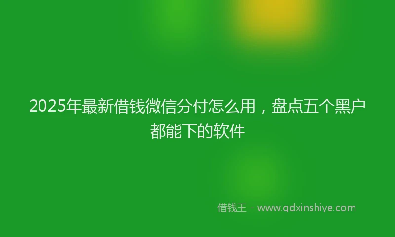 2025年最新借钱微信分付怎么用，盘点五个黑户都能下的软件