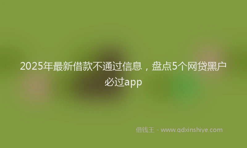 2025年最新借款不通过信息，盘点5个网贷黑户必过app