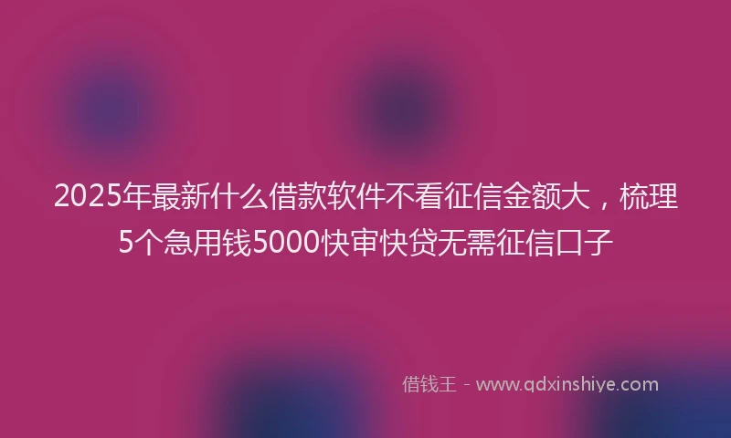2025年最新什么借款软件不看征信金额大，梳理5个急用钱5000快审快贷无需征信口子