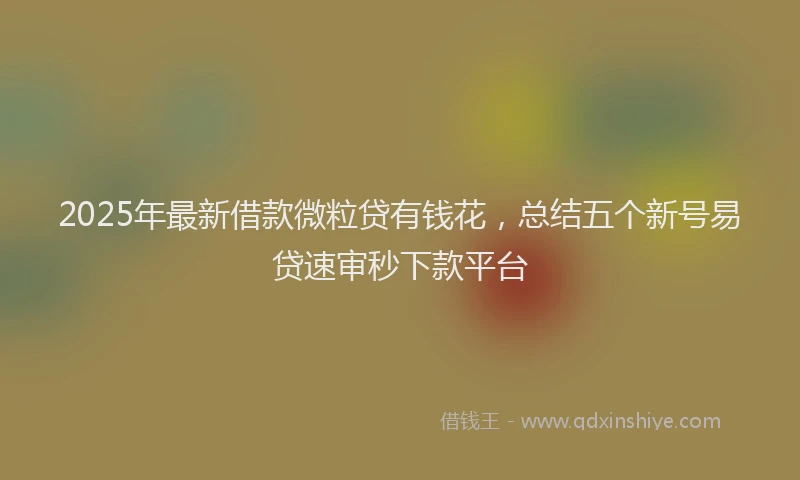 2025年最新借款微粒贷有钱花，总结五个新号易贷速审秒下款平台