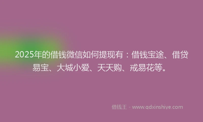 2025年的借钱微信如何提现有：借钱宝途、借贷易宝、大城小爱、天天购、戒易花等。