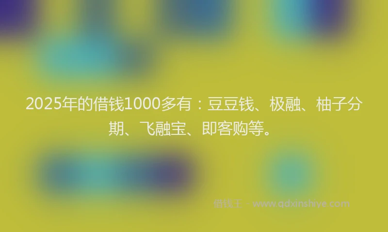 2025年的借钱1000多有：豆豆钱、极融、柚子分期、飞融宝、即客购等。