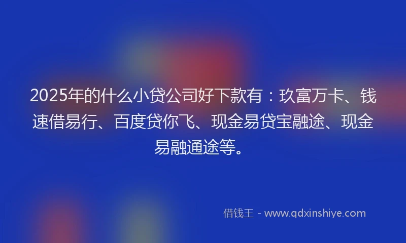 2025年的什么小贷公司好下款有：玖富万卡、钱速借易行、百度贷你飞、现金易贷宝融途、现金易融通途等。