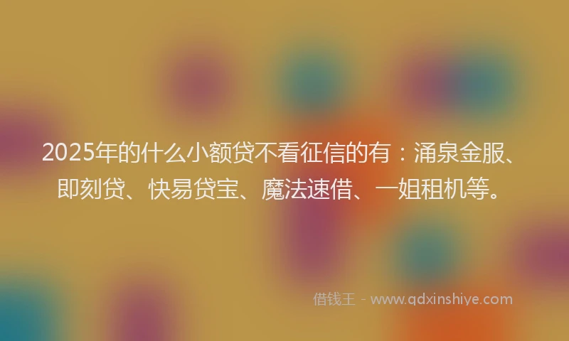 2025年的什么小额贷不看征信的有：涌泉金服、即刻贷、快易贷宝、魔法速借、一姐租机等。