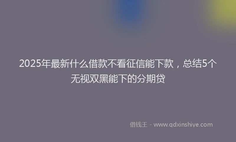 2025年最新什么借款不看征信能下款，总结5个无视双黑能下的分期贷