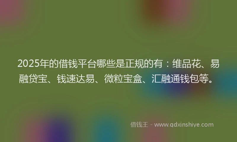 2025年的借钱平台哪些是正规的有：维品花、易融贷宝、钱速达易、微粒宝盒、汇融通钱包等。