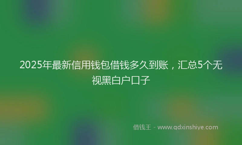 2025年最新信用钱包借钱多久到账，汇总5个无视黑白户口子