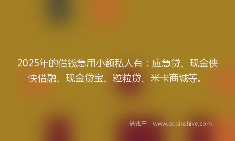 2025年的借钱急用小额私人有：应急贷、现金侠快借融、现金贷宝、粒粒贷、米卡商城等。