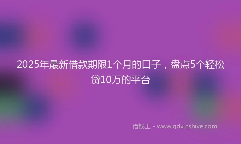 2025年最新借款期限1个月的口子，盘点5个轻松贷10万的平台
