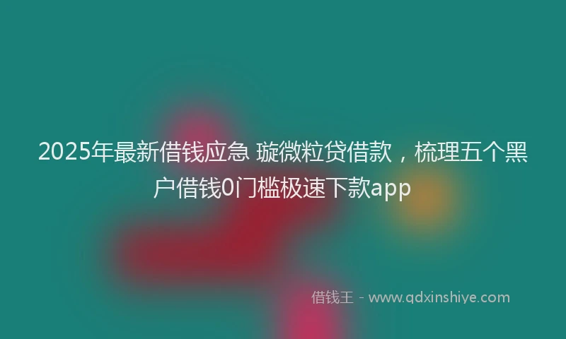 2025年最新借钱应急 璇微粒贷借款，梳理五个黑户借钱0门槛极速下款app