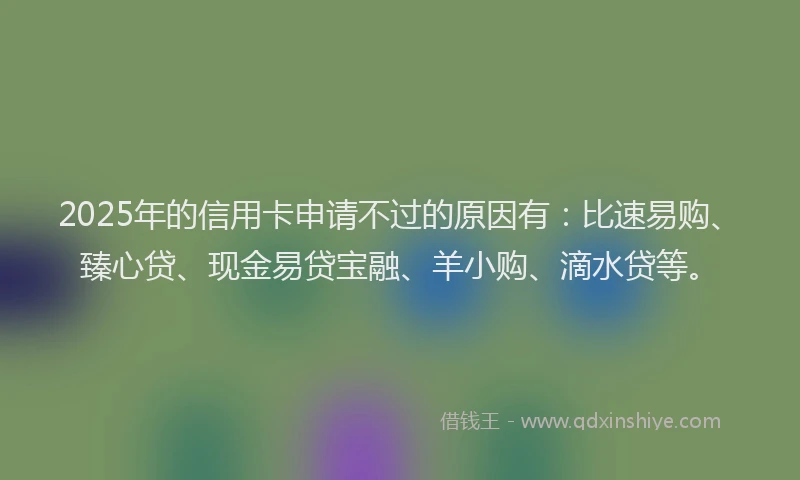 2025年的信用卡申请不过的原因有：比速易购、臻心贷、现金易贷宝融、羊小购、滴水贷等。