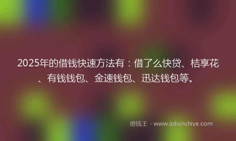 2025年的借钱快速方法有：借了么快贷、桔享花、有钱钱包、金速钱包、迅达钱包等。