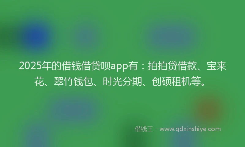 2025年的借钱借贷呗app有：拍拍贷借款、宝来花、翠竹钱包、时光分期、创硕租机等。