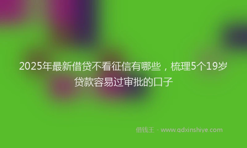 2025年最新借贷不看征信有哪些，梳理5个19岁贷款容易过审批的口子
