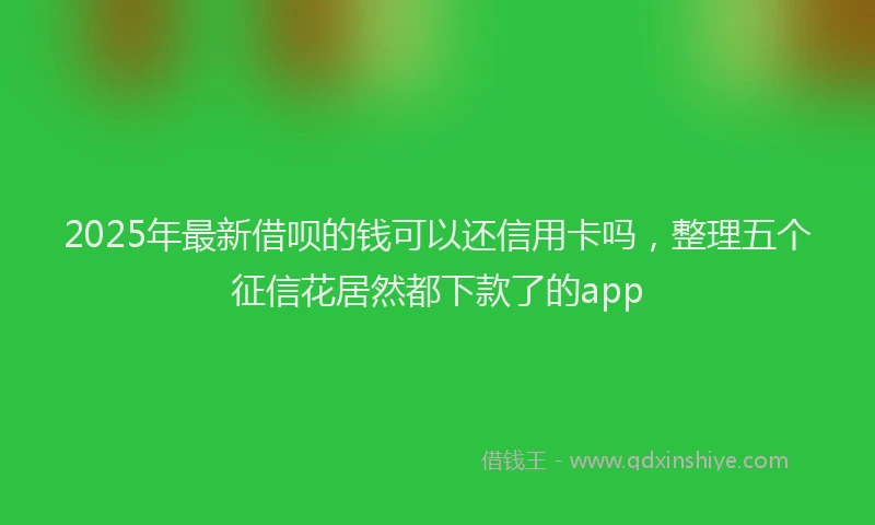 2025年最新借呗的钱可以还信用卡吗，整理五个征信花居然都下款了的app