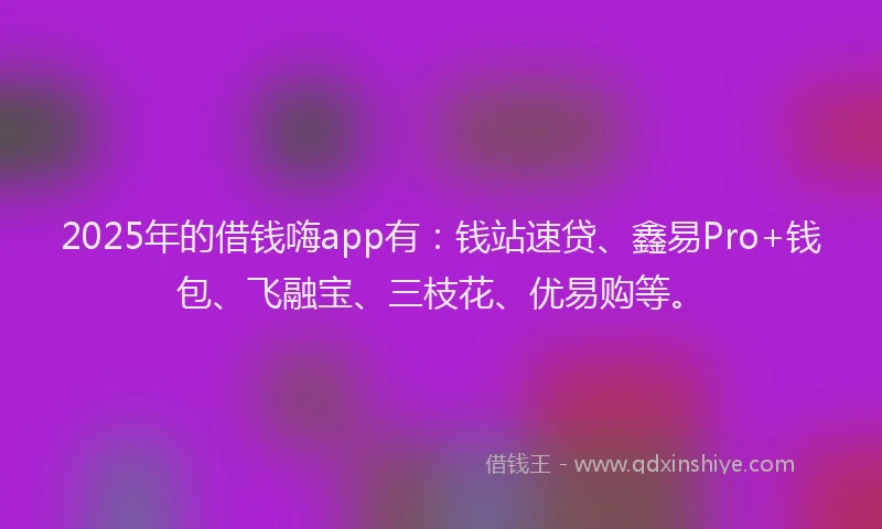 2025年的借钱嗨app有：钱站速贷、鑫易Pro+钱包、飞融宝、三枝花、优易购等。