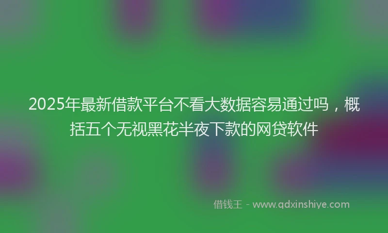2025年最新借款平台不看大数据容易通过吗，概括五个无视黑花半夜下款的网贷软件