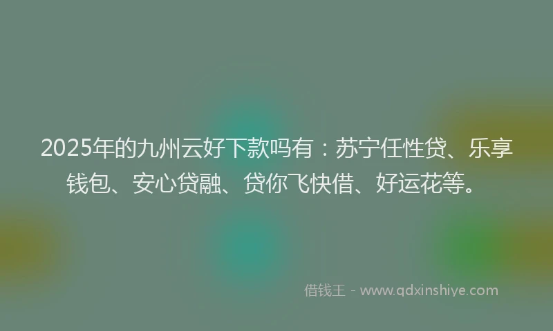 2025年的九州云好下款吗有：苏宁任性贷、乐享钱包、安心贷融、贷你飞快借、好运花等。