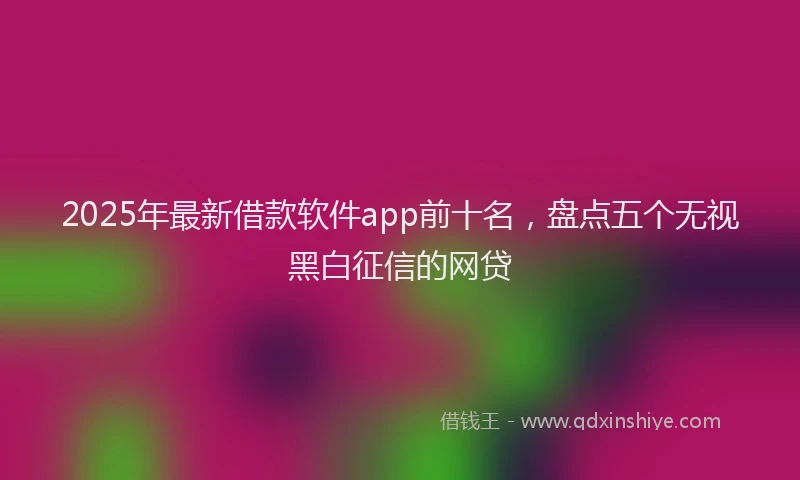 2025年最新借款软件app前十名，盘点五个无视黑白征信的网贷