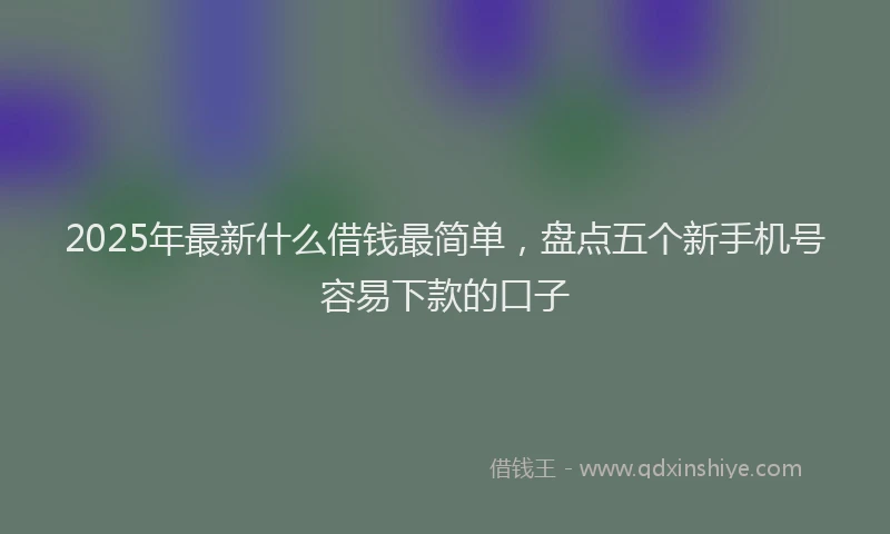 2025年最新什么借钱最简单，盘点五个新手机号容易下款的口子