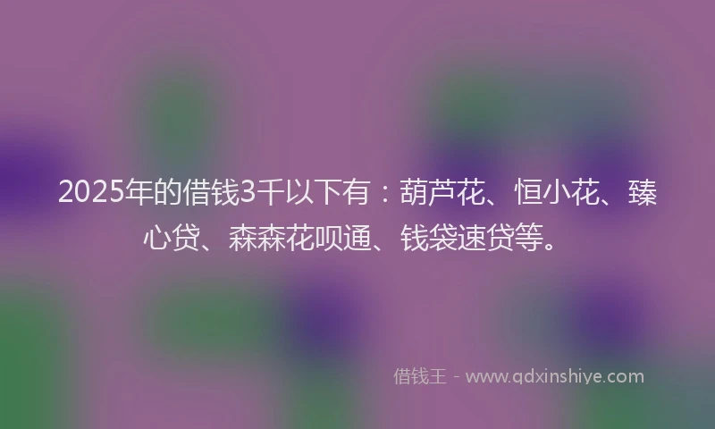 2025年的借钱3千以下有：葫芦花、恒小花、臻心贷、森森花呗通、钱袋速贷等。