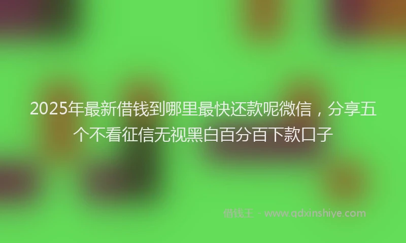 2025年最新借钱到哪里最快还款呢微信，分享五个不看征信无视黑白百分百下款口子