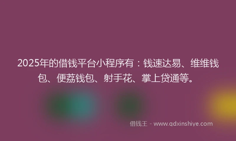 2025年的借钱平台小程序有：钱速达易、维维钱包、便荔钱包、射手花、掌上贷通等。