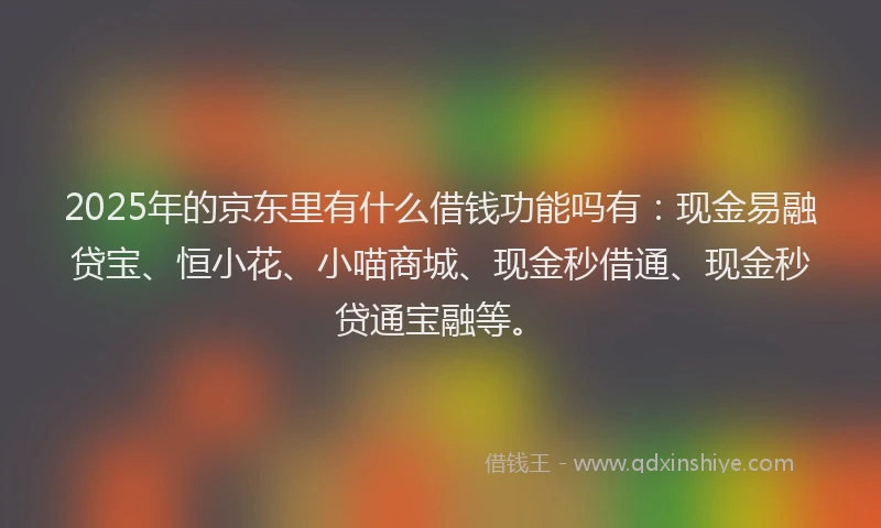 2025年的京东里有什么借钱功能吗有：现金易融贷宝、恒小花、小喵商城、现金秒借通、现金秒贷通宝融等。
