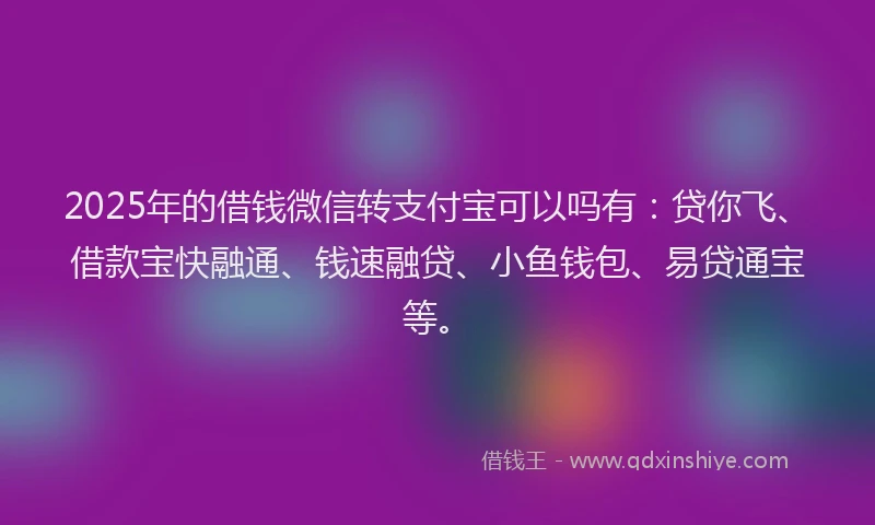 2025年的借钱微信转支付宝可以吗有：贷你飞、借款宝快融通、钱速融贷、小鱼钱包、易贷通宝等。